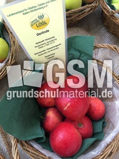 Gerlinde.jpg